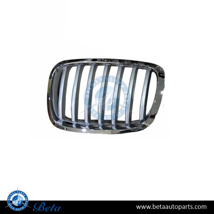 Left Side Radiator Grille -Titan for BMW X6 E71 LCI 2013-2014 models, Part Number 51137307599 Left Side Radiator Grille -Titan for BMW X6 E71 LCI 2013-2014 models, Part Number 51137307599